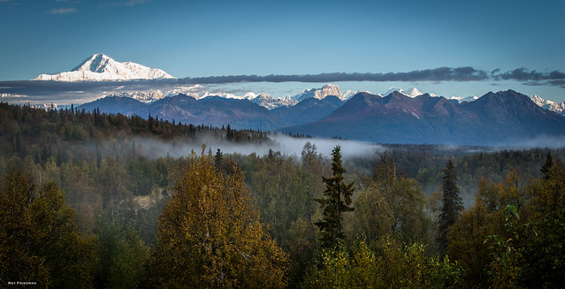 Morning mist: Denali, Alaska