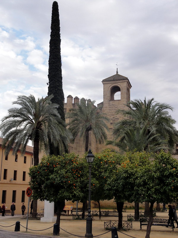 Recorriendo Andalucía. - Blogs de España - Córdoba capital (1): Judería, Alcázar de los Reyes Cristianos y callejeo. (24)