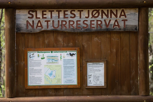 lake forrest naturereserve wetlands bog rune naturreservat rennebu slettestjønna fugleturjuni2015
