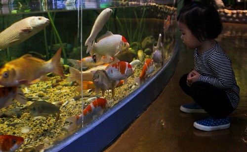 Seoul COEX Aquarium