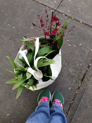 Portland Orchid Show purchases