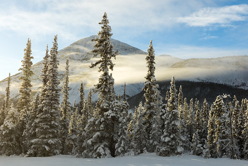 ca canada britishcolumbia alaskahighway northernrockiesb northernrockiesregionalmunicipality