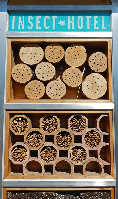 Bee 'Houses' aka 'Insect Hotel' in Vancouver, BC