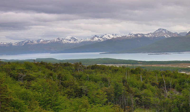 Parque Karukinka (Tierra del Fuego) - Por el sur del mundo. CHILE (29)