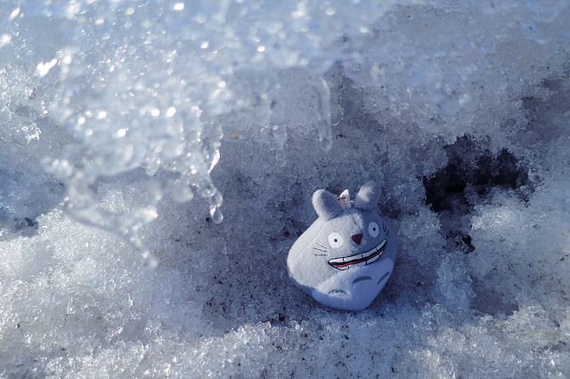 Day #75: totoro is discovering the Cryosphere