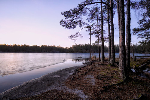 park lake sunrise dawn this nationalpark sweden stockholm national sverige tyresta visitsweden tyrestanationalpark canon6d årsjön thisissweden
