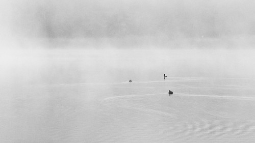 blackandwhite lake blancoynegro fog lago ecuador agua bn laguna sanfernando niebla ec azuay