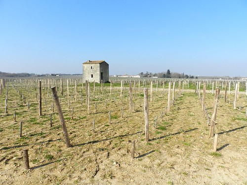 landscape paysage vignes vignoble gironde médoc