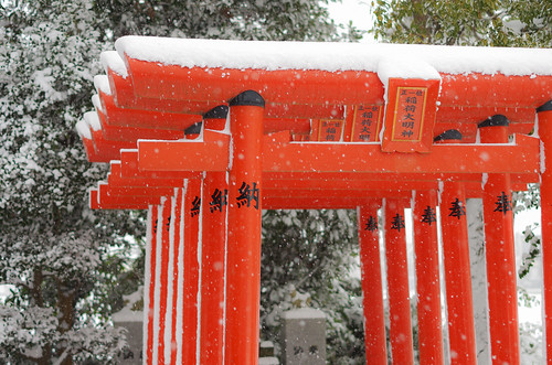 winter snow japan architecture shrine inari torii 中津市 大分県 ōitaken nakatsushi
