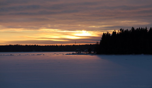 trees winter sunset sea snow ice nature clouds woodland suomi finland landscape colours outdoor dusk balticsea shore pori canonefs1785mmf456isusm ahlainen