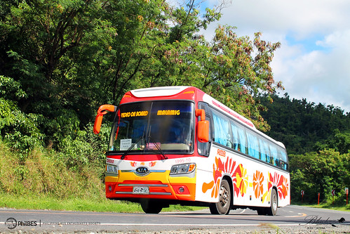 bus transport parkway express kia hyundai society bicol philippine enthusiasts rmb 199510 sdii granbird philbes d6ac km949s