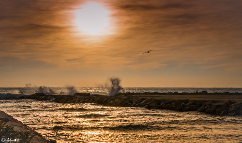 sunset bird canon de soleil waves coucher paysage vagues reflets oiseau méditerranée