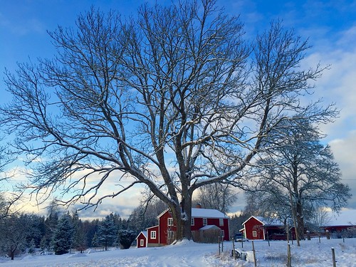 sky snow vinter sweden farm himmel småland sverige snö bondgård vinterlandskap kråkerås