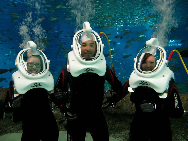 Underwater Sea Walking Experience in Goa