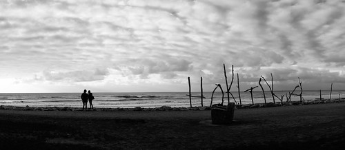 new travel sea sky bw sculpture west beach nature clouds island coast woods waves mood wind dusk south silhouettes panoramic zealand shore hokitika drift seacscape