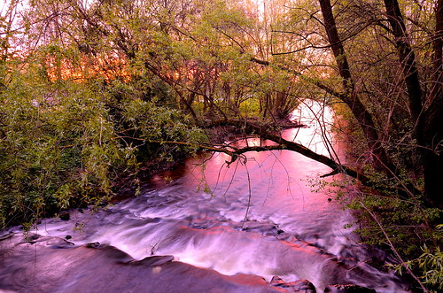 trees light color water germany nikon 1855mm sunrice langzeitbelichtung dinkel d5100 naturphotography