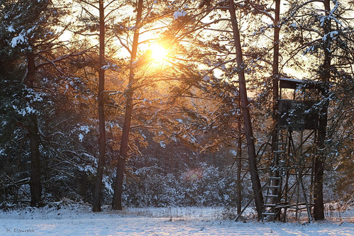 schnee trees winter sunset sun snow nature sonnenuntergang hans pines fujifilm sonne bäume kiefern hochsitz huntersshelter xt1 jägersitz jägerstand eisenreich