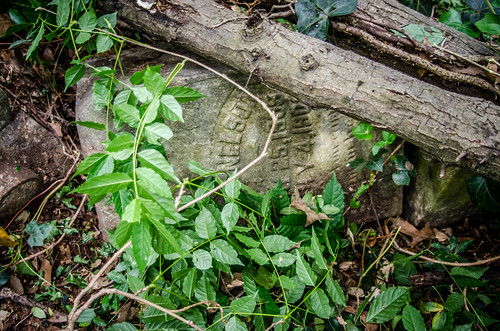 Brandon Mill Cemetery Cleanup-52