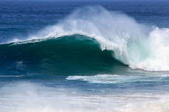 Definition: to move in waves or with a wavelike motion
Synonym: wobble, ripple, surge
Antonym: smooth, flat, level

