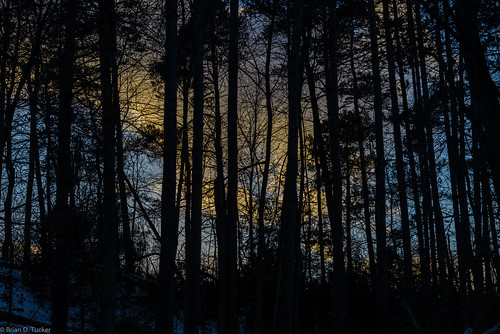trees sunset sky clouds forest evening woods january greenwood hike eveninglight 2016 d610 photohike greenwoodconservationarea briandtucker january2016