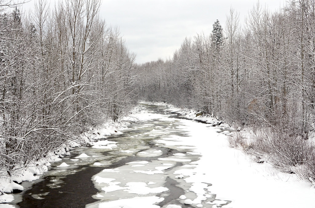 Frozen Creek