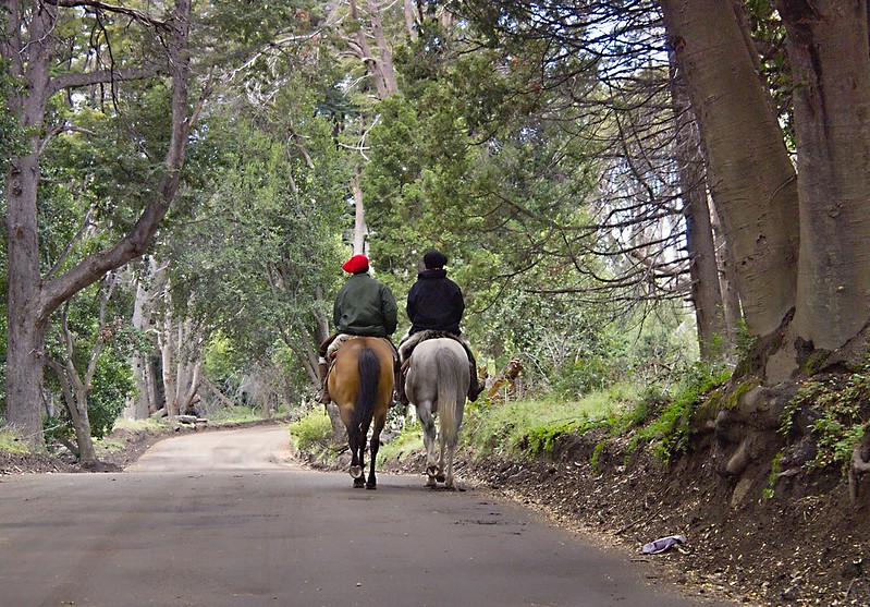 Bariloche a San Martín de los Andes y paso Samoré: Ruta de los 7 Lagos (feb-2014 - Por la Patagonia ARGENTINA (15)