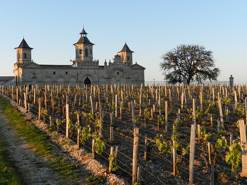 sunset vignes vignoble château saintestèphe gironde médoc châteaucosdestournel