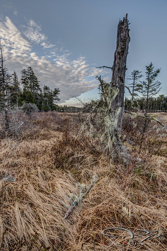 canada outdoors novascotia hdr tangier geolocation geo:country=canada camera:make=canon exif:make=canon exif:aperture=ƒ14 geo:state=novascotia exif:model=canoneos6d camera:model=canoneos6d exif:isospeed=400 exif:focallength=16mm exif:lens=ef1635mmf4lisusm geo:city=tangier geo:lon=62874325 geo:lat=44904883333333