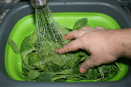 21 - Blattspinat waschen / Wash leaf spinach
