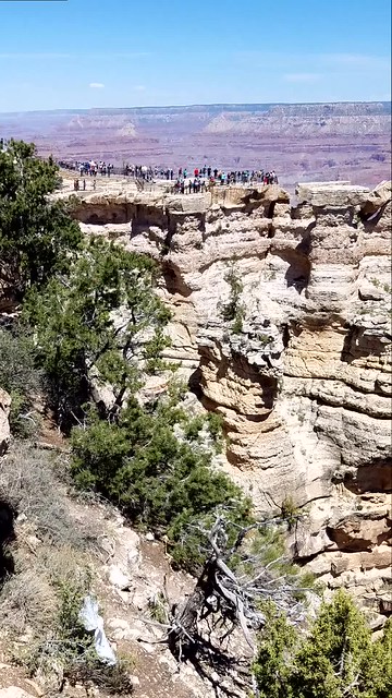 Grand Canyon, panoramic videos
