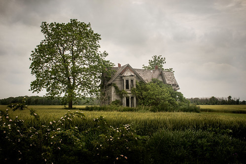 grass dark scary palmyra farm abandoned rundown field trees abandonedhouse ontario deserted clouds rural noperson landscape countryside tree wood outdoors country sky agriculture house chathamkent canada