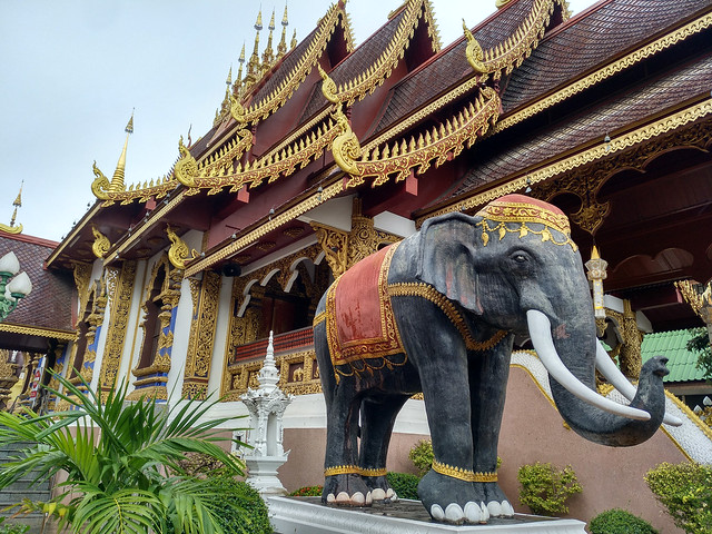 FIN DE AÑO EN EL NORTE DE TAILANDIA - Blogs of Thailand - Doi Suthep, la montaña del elefante blanco (7)