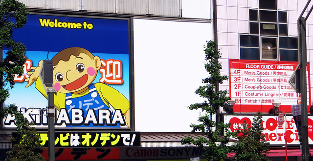 Welcome to Akihabara!