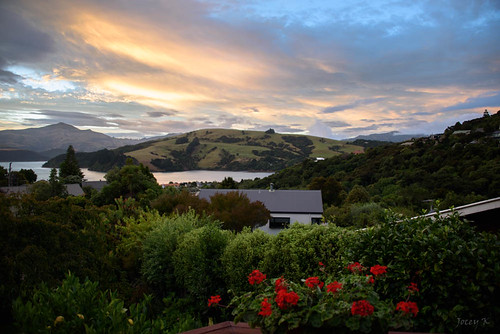 bankspeninsula newzealand nikond750 akaroa sunset evening hills sea akaroaharbour scene landscape flowers houses