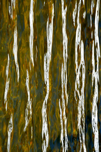 eechillington nikond7500 brightonlakestrail hiking water patterns viewnxi abstract lakemartha nature