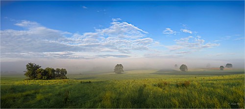 wolkenfeldfeldernebel dunstsonnenaufgangsonne sunbeams meadow bayern country bavaria grass tree sunset sky field