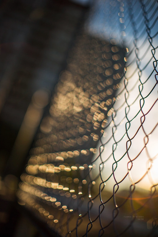 chain-link at sunset