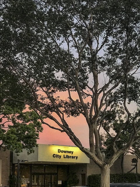 Downey City Library sunset