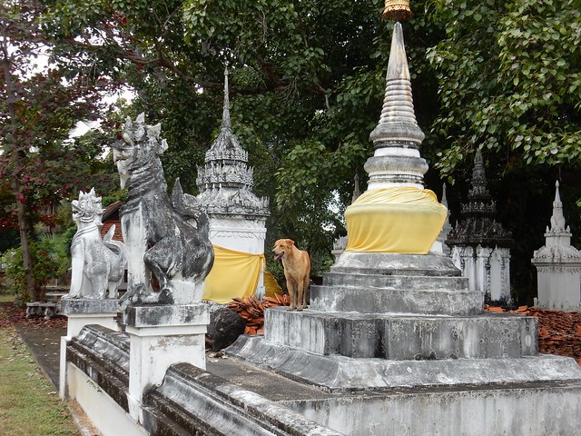 FIN DE AÑO EN EL NORTE DE TAILANDIA - Blogs de Tailandia - Lamphun, la ciudad antigua (31)