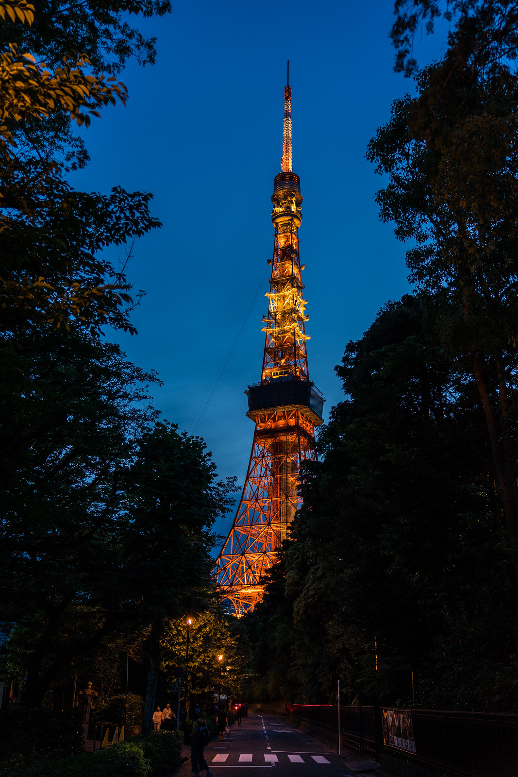 東京夜景 掌握東京鐵塔夜景 來到東京鐵塔不能錯過的三個拍攝位置 剪影 夜景 車軌一次把握 羅賓的攝影漫步