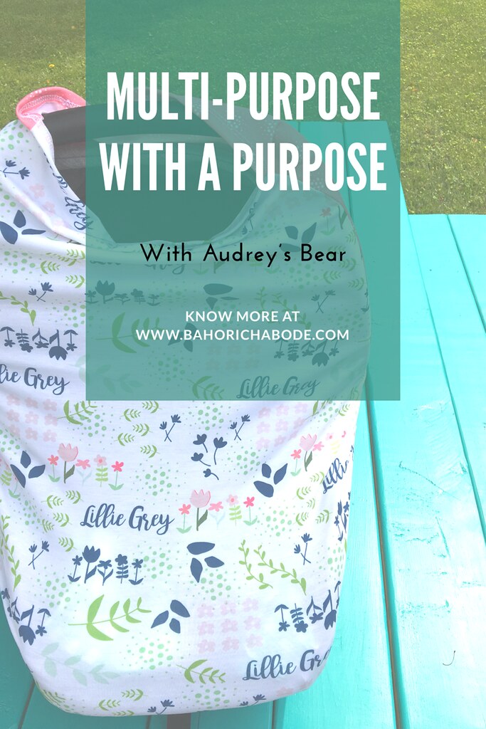 Multi-Purpose with a Purpose with Audrey’s Bear