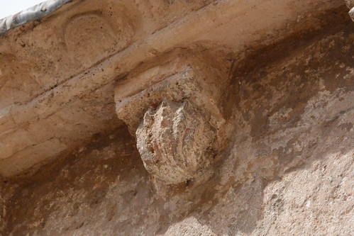 Canecillo (cabeza de la viga que soporta la cornisa) con la vieira típica del peregrino