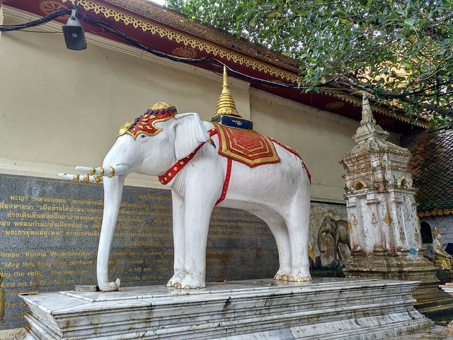 FIN DE AÑO EN EL NORTE DE TAILANDIA - Blogs de Tailandia - Doi Suthep, la montaña del elefante blanco (47)