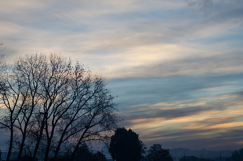 cielo sky silueta arboles atardecer sunset silhouette trees paisajeurbano nubes celestes llanquihue humedalelloto surdechile southamerica alamos regióndeloslagos chile