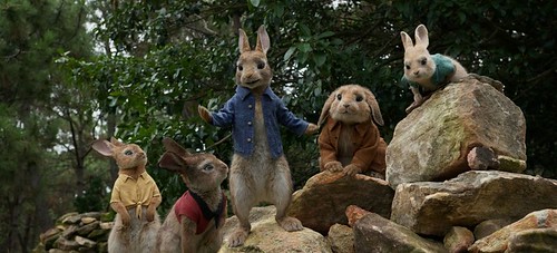 Peter Rabbit - screenshot 4