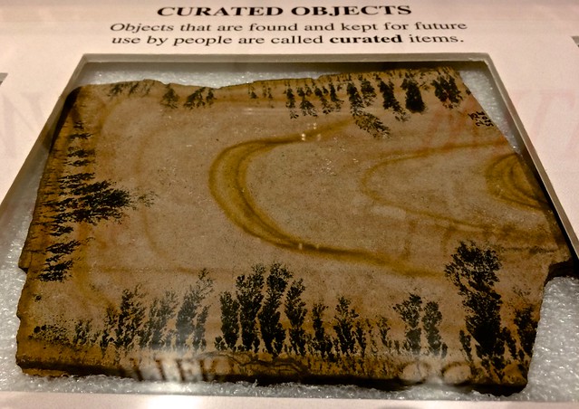 curated object
