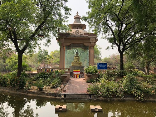 City Hangout - Buddha's Pond, Buddha Garden