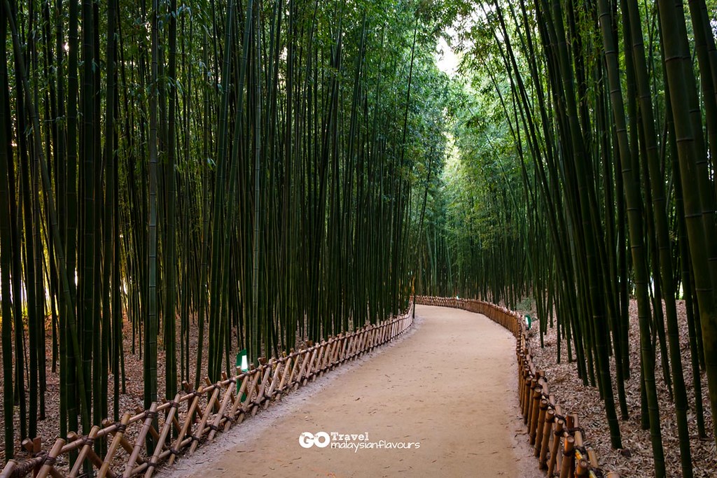 Simnidaesup Bamboo Forest