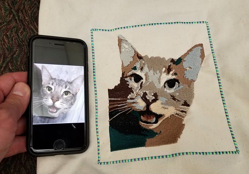 12 Color Embroidered Cat