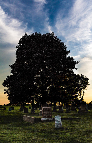 shadow contrast silhouette sunset graveyard goldenhour sky skyscape barrie grave trees